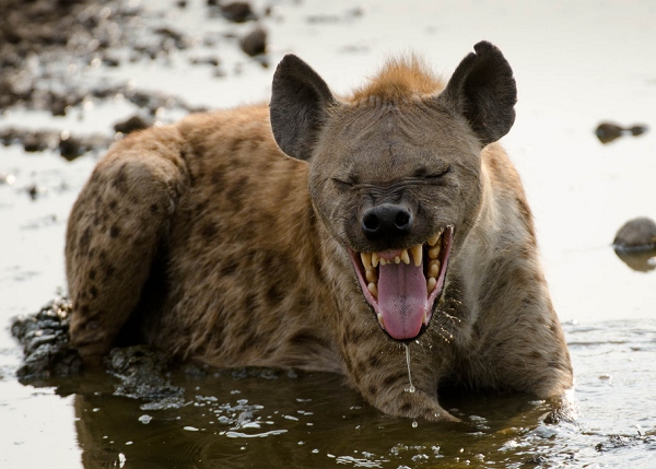 20110619_AfricaD4_645.jpg