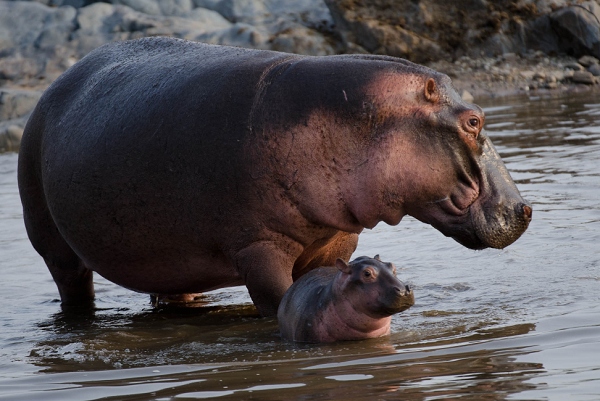 20110620_AfricaD5_043.jpg