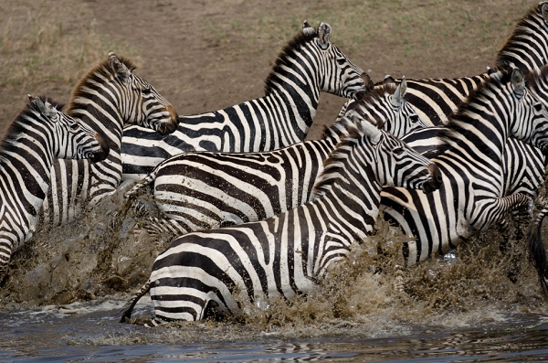 20110621_AfricaD6_162.jpg
