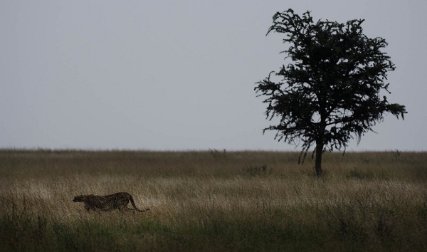 20110621_AfricaD6_638.jpg
