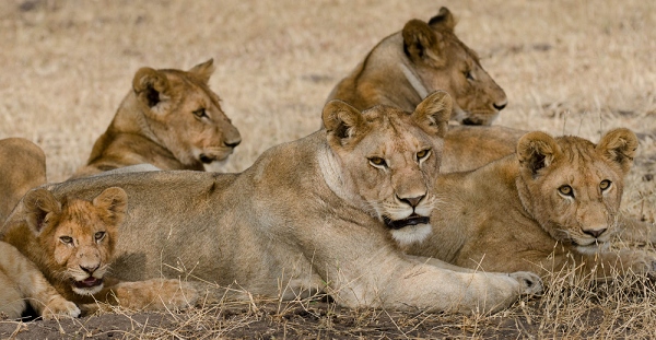 20110623_AfricaD8_255.jpg