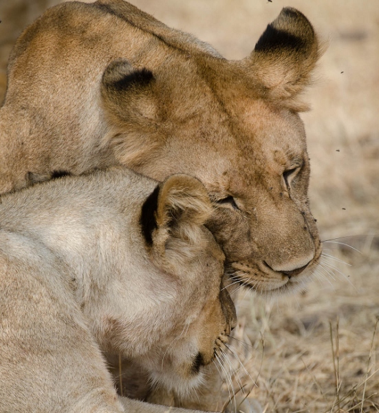 20110623_AfricaD8_270.jpg