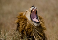 20110619_AfricaD4_359