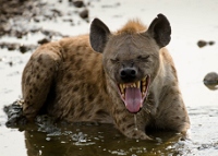 20110619_AfricaD4_645