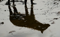 20110619_AfricaD4_652