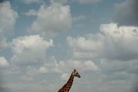 20110620_AfricaD5_357