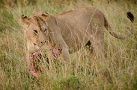 20110620_AfricaD5_581