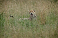 20110621_AfricaD6_573