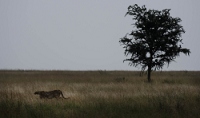 20110621_AfricaD6_638