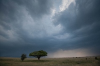 20110621_AfricaD6_684