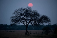 20110622_AfricaD7_639