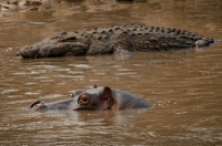 20110623_AfricaD8_408
