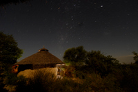 20060206_Africa1D200_337
