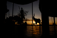 20060207_Africa2D200_235