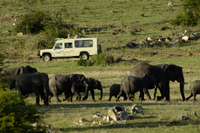 20060209_Africa4D2X_168