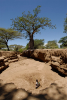 20060211_Africa6D200_098