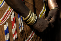 20060211_Africa6D2X_154