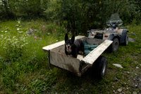 Alaska Family Web - 017.jpg