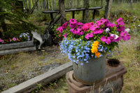 Alaska Family Web - 018.jpg
