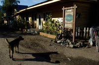 Alaska Family Web - 037.jpg
