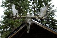 Alaska Family Web - 108.jpg
