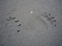 Alaska Family Web - 118.jpg