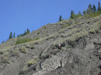 Alaska Family Web - 124.jpg