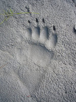 Alaska Family Web - 140.jpg