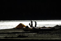 Alaska Family Web - 142.jpg
