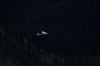 Alaska Family Web - 143.jpg