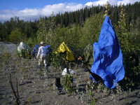 Alaska Family Web - 144.jpg