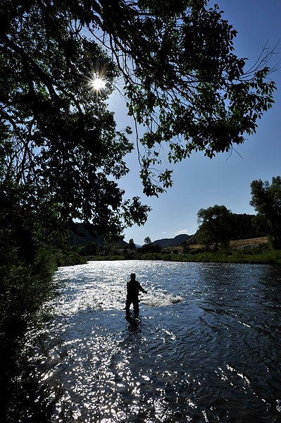 20090815_ColoD3_060.JPG
