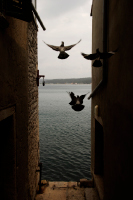 20050425_CroatiaD2X_119