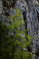 20050426_CroatiaD2X_112