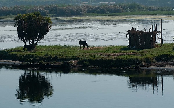 20091001_EgyptD4_159.JPG