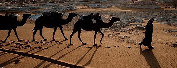 20091004_EgyptD7_422.JPG