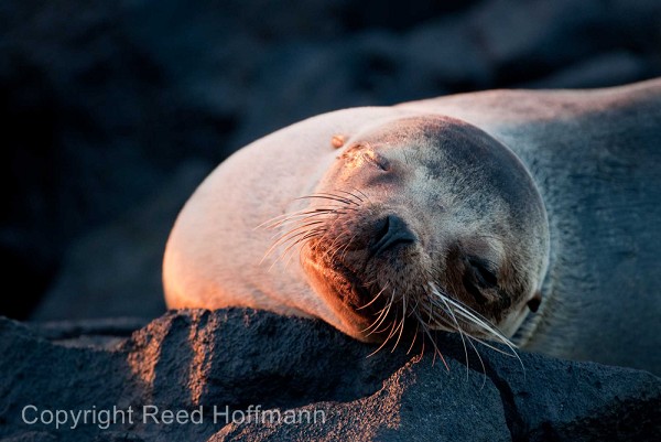 20100424_GalapD4_227.jpg