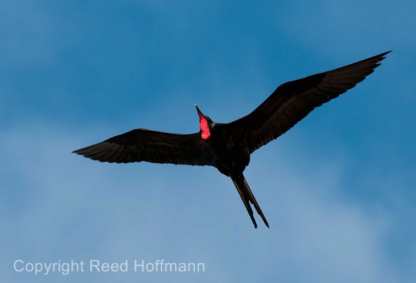 20100425_GalapD5_116.jpg
