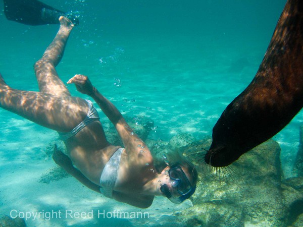 20100425_GalapD5_664.jpg
