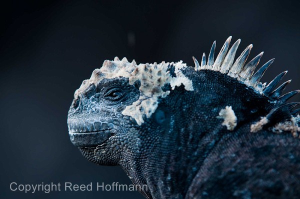 20100426_GalapD6_452.jpg
