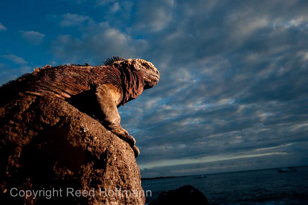 20100426_GalapD6_518.jpg