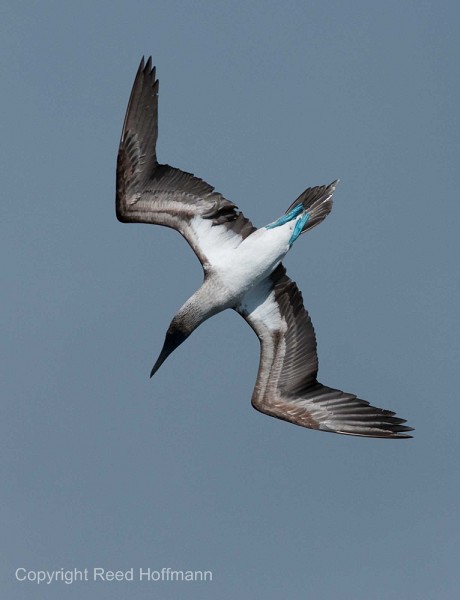 20100427_GalapD7_200.jpg