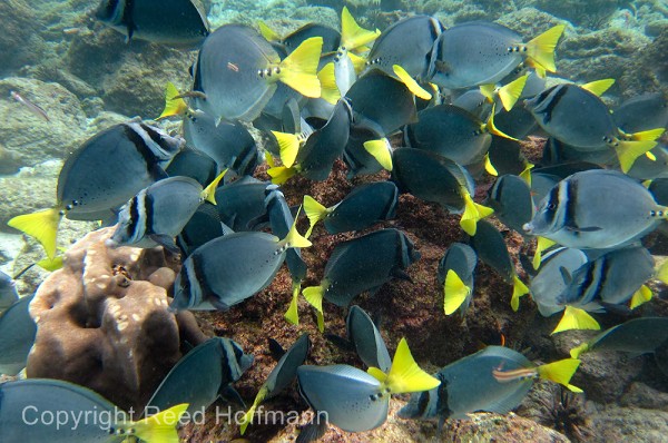 20100427_GalapD7_294.jpg
