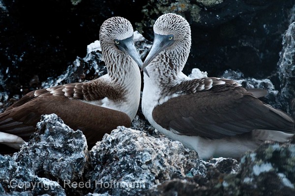 20100427_GalapD7_482.jpg