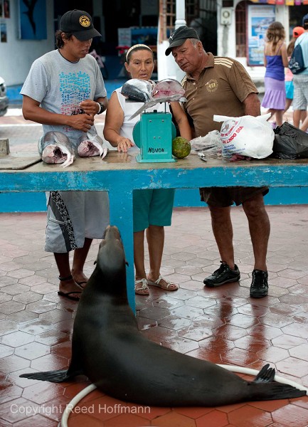 20100428_GalapD8_315.jpg
