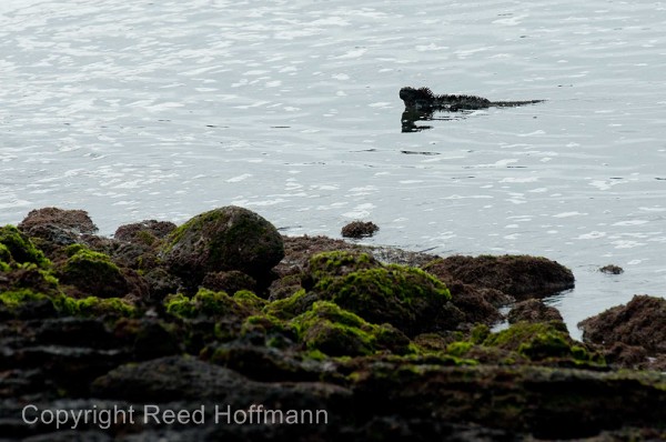 20100429_GalapD9_149.jpg