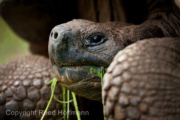 20100429_GalapD9_303.jpg