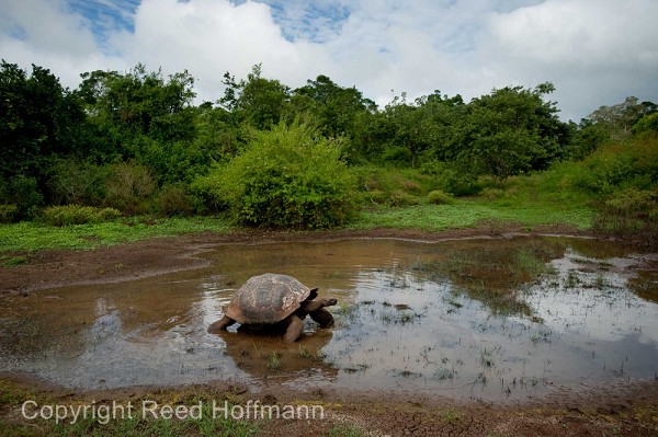 20100429_GalapD9_401.jpg