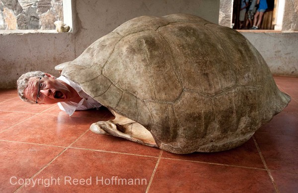 20100429_GalapD9_434.jpg