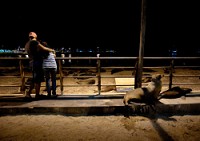 20100424_GalapD4_346